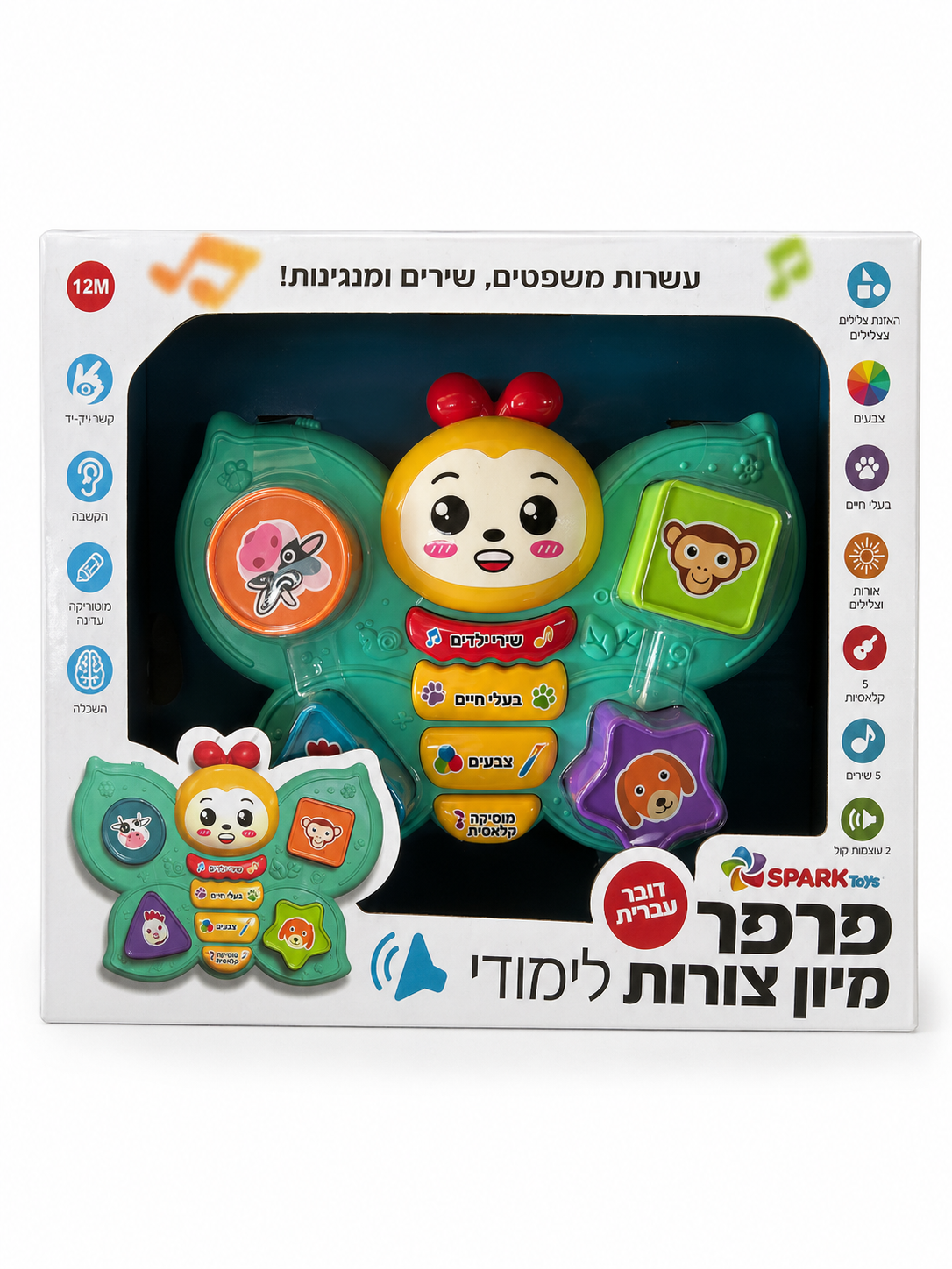 פרפר מיון צורות לימודי - דובר עברית